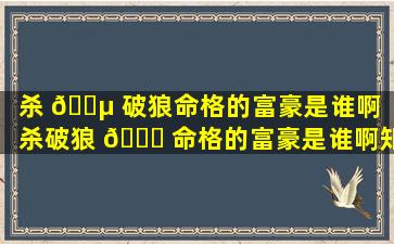 杀 🌵 破狼命格的富豪是谁啊（杀破狼 🐞 命格的富豪是谁啊知乎）